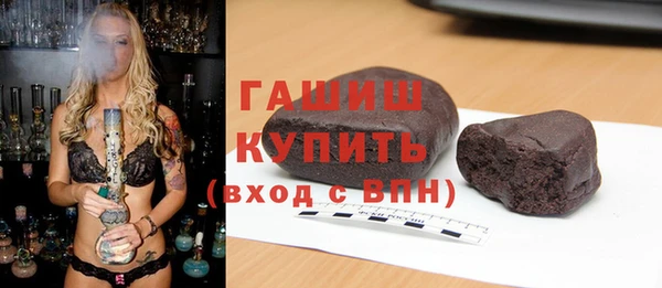 шишки Гусиноозёрск
