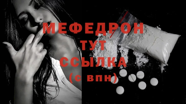 шишки Гусиноозёрск