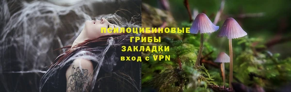 прущий лед Гусь-Хрустальный