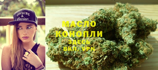 шишки Гусиноозёрск