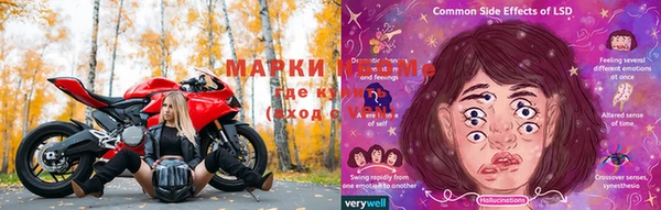 шишки Гусиноозёрск