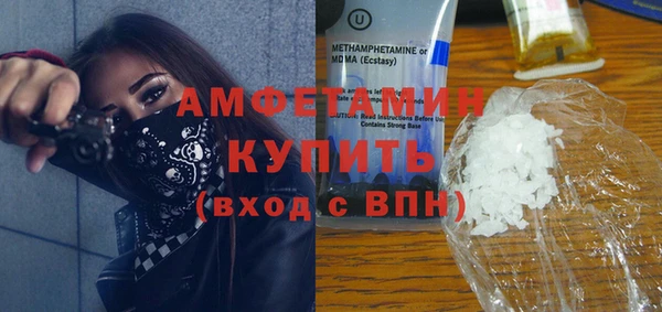 шишки Гусиноозёрск