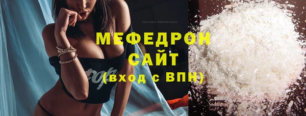 шишки Гусиноозёрск