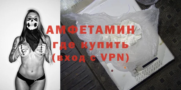 шишки Гусиноозёрск