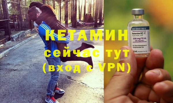 шишки Гусиноозёрск