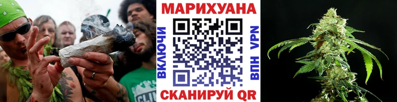 Шишки марихуана марихуана  Купить закладки  Колпашево 